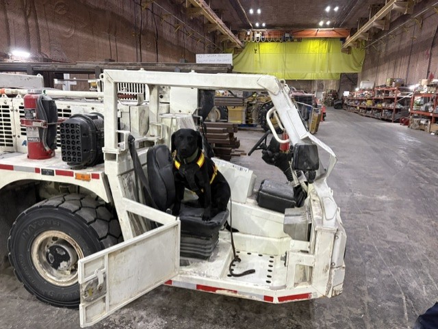 Detection dog conducting on-site screening of industrial equipment in warehouse facility